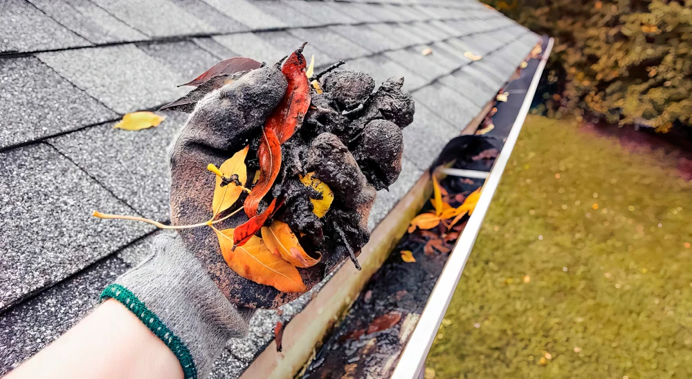 Imagen de Gutter Cleaning & Maintenance